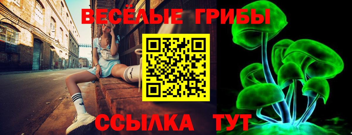 Галлюциногенные грибы GOLDEN TEACHER Ишимбай